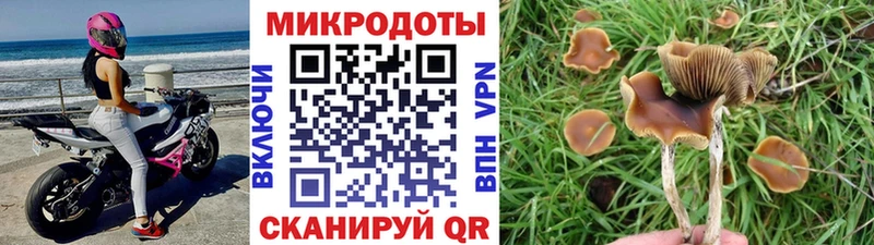 Псилоцибиновые грибы мухоморы  mega ссылка  маркетплейс Telegram  Льгов 